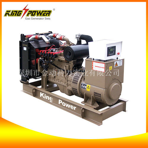 廣東天燃氣發電機/供應天然氣發電機